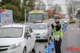 龙泉驿桃花节今日开幕 交警说驾车赏花这样走图片