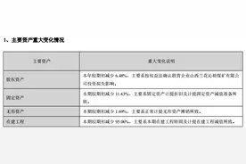 将净资产亏成负数，即将“戴星”的ST双环股价却连涨三周图片
