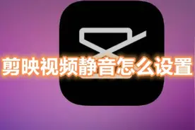 剪映视频静音怎么设置？剪映视频静音的设置方法图片