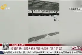 上面是光伏板下面是大棚，数十个大棚被积雪压塌，园区：自然灾害视频封面