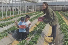 余文乐夫妇带儿子采摘草莓 对镜头比V温馨有爱图片