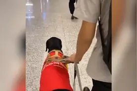 导盲犬未戴嘴套上武汉地铁遭拒，主人：其他城市未受阻视频封面
