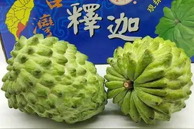 凤梨警讯！国民党干部：蔡当局若不改“仇中”，接下来或是释迦、莲雾图片