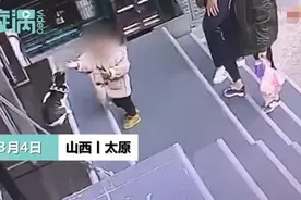 主人使唤狗子拖回门口玩耍猫咪 网友：这狗像极了领导让我取快递图片