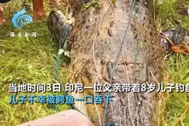8岁儿童惨遭鳄鱼一口吞下 民众抓捕后当场切剖取出孩子 现场曝光图片
