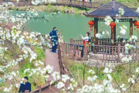 美爆了！黄石这些地方有桃花、樱花、油菜花…一定要去图片