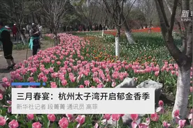 三月春宴：杭州太子湾开启“郁金香季”视频封面