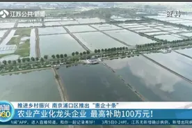 南京浦口发布农业龙头企业“惠企十条”，最高补助100万元视频封面