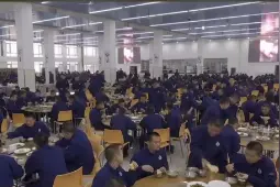 500万人围观他们打呼噜 这声音承载了多少平安图片