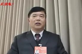 全国政协委员施卫东建议：推进崇启铁路建设，加快实现长三角交通一体化图片