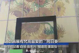 这个画展有梵高最爱的“向日葵”视频封面