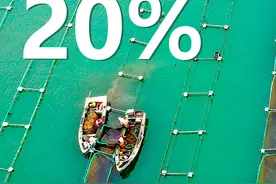一个数字背后的巨变②｜20%！山东抢占海洋牧场“智高点”，挖掘“蓝色药库”新动能图片