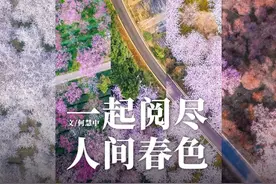 来了！中国赏春地图图片