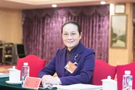 赵雯委员：建议深度参与WIPO框架下全球知识产权治理图片