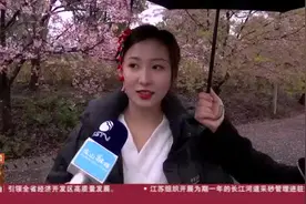 上海：顾村公园早樱绽放  雨中赏花别有情趣视频封面