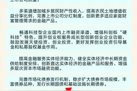 “十四五”规划擘画资本市场全面深化改革路线图图片
