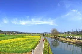 长沙这个冷门的油菜花海突然爆红，别慌！这里还有四个绝色油菜花地没人打卡图片