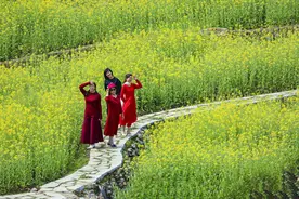 河源各地开展巾帼踏青赏花活动图片