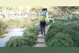 一镜走天下！杭州大姐十年旅拍百万张照片图片
