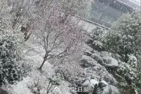 今天，宜昌下桃花雪了图片