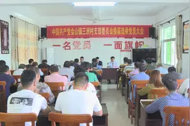 琼海会山镇三洲村党支部完成换届选举图片