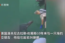跨种族友谊！英国渔夫与失明海豹交朋友 10年来每天见面图片