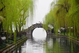 烟雨江南 杭州西湖柳色青青图片