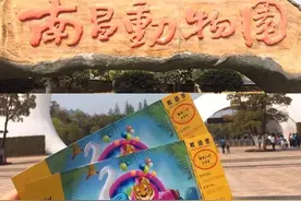 南昌动物园传来大消息图片