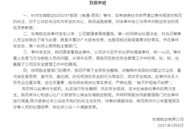 机长与乘务长飞行中相互殴打？东海航空致歉：全员整改视频封面