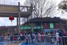 红山森林动物园，现在什么样？图片