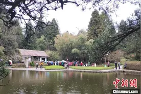 江西多个景区“三八节”对女性免门票“她经济”助力疫后旅游业图片