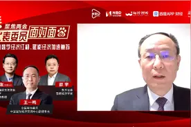 代表委员面对面｜王一鸣对话邵宇：弥合产业层面的数字鸿沟，首先还是要反垄断图片