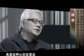 中央纪委拿下的十大“内鬼”是他们图片