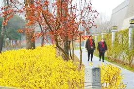 打开一张赏花地图 送你一片春暖花开图片