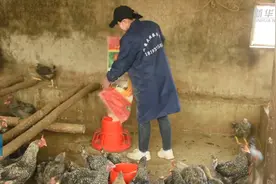 “女强人”王玉兰的“芦花”情缘视频封面