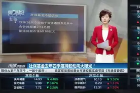社保基金去年四季度持股动向大曝光视频封面