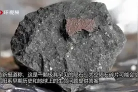 稀有陨石碎片降落英国车道，最新研究称可能含有“生命成分”图片