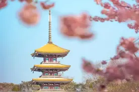 官宣！湖北40个赏樱景点正式公布图片