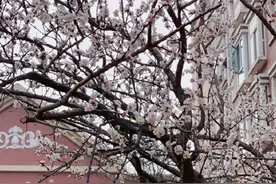 心态好的人，往往都有这5种习惯图片