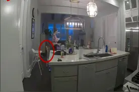美国一母亲玩手机没注意婴儿推走她的凳子 摔倒在地引发大笑图片