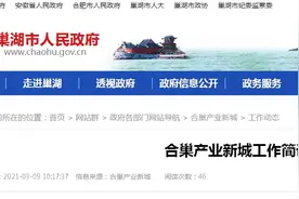 总投资3.5亿！合巢产业新城又签约一个大项目图片