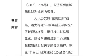 重磅！“十四五”期间将研究建设长沙至岳阳城铁图片