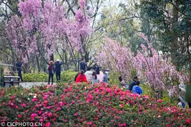 春风拂暖花烂漫，不负春光与时行图片