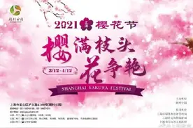 2021上海樱花节来啦！春天到了，去赏樱吧图片