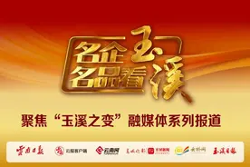 名企名品看玉溪 | 太标：太阳能以绝对优势蝉联西南地区销售冠军图片