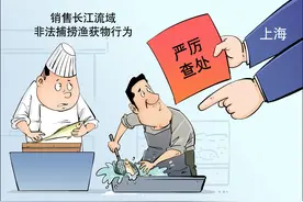［法治］突击检查图片