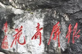 临近观赏季 巢湖银屏山千年牡丹已含苞待放图片