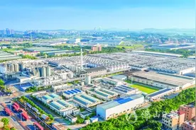 期待！三水河心岛有望建观光摩天轮！图片
