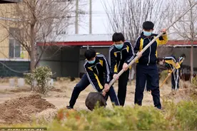 春天里 植树忙图片