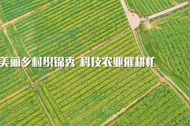 美丽乡村织锦秀 科技农业催耕忙视频封面